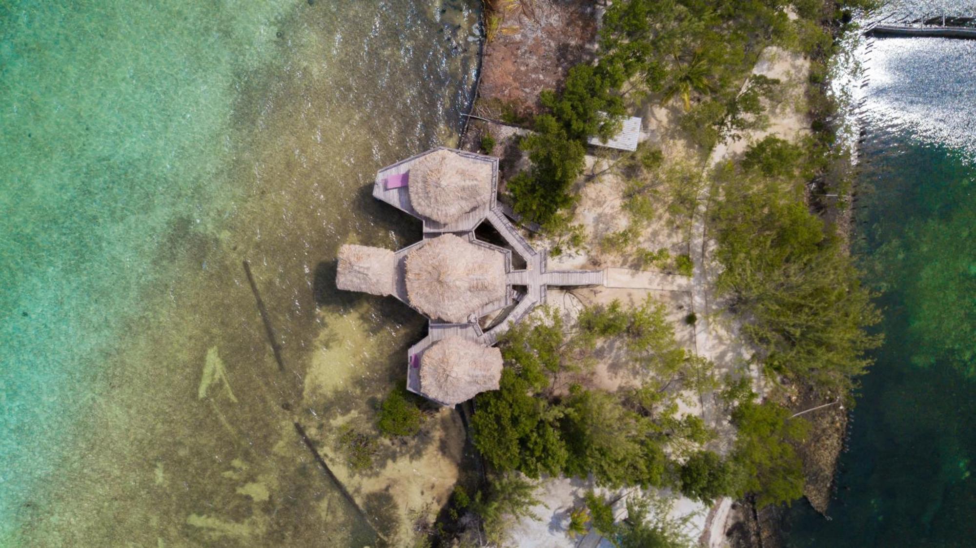Thatch Caye Resort A Muy'Ono Resort Hopkins Cameră foto