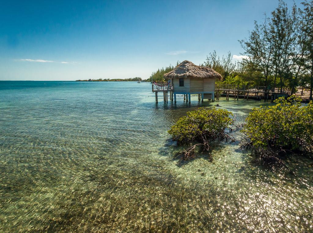 Thatch Caye Resort A Muy'Ono Resort Hopkins Exterior foto